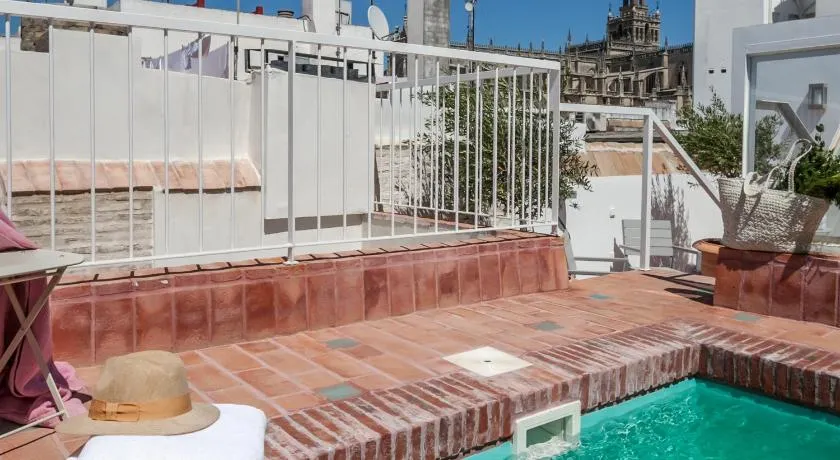 Tomas Ibarra Pool & Luxury - Image 1