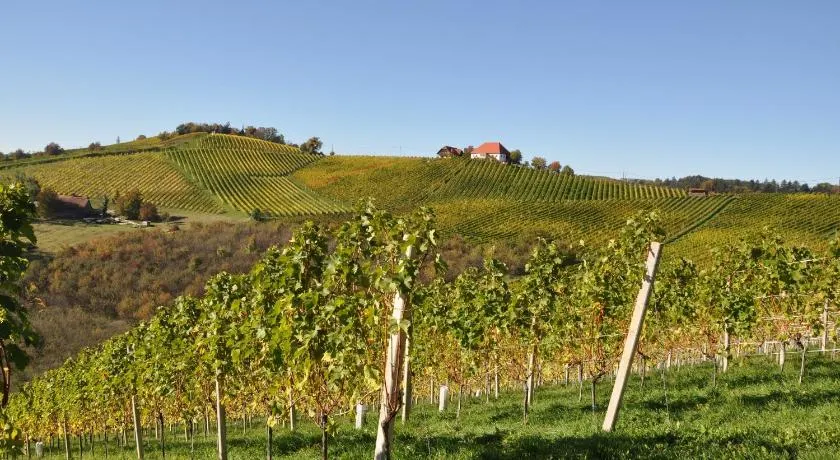 Weingut Kögl - Image 1