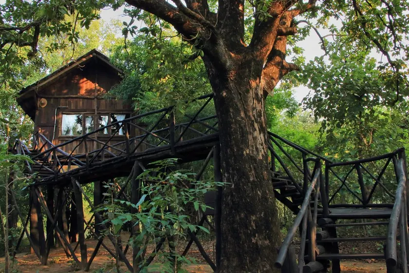 Pugdundee safaris - Tree House Hideaway - Image 1
