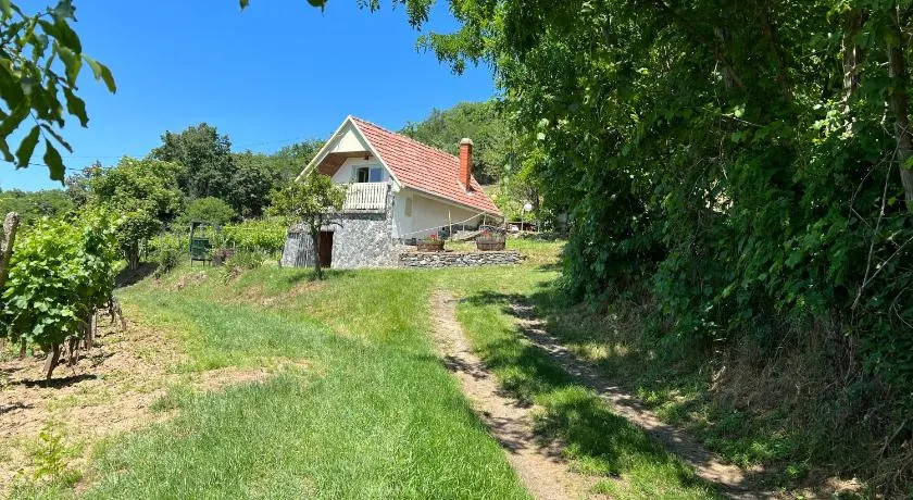 Vine Cottage - Image 1