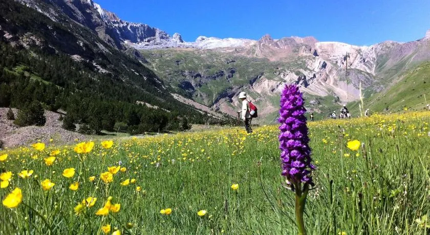 Hostel-Albergue Monte Perdido - Image 1