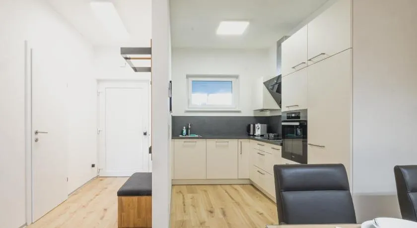Deluxe Apartment Graz - Image 1