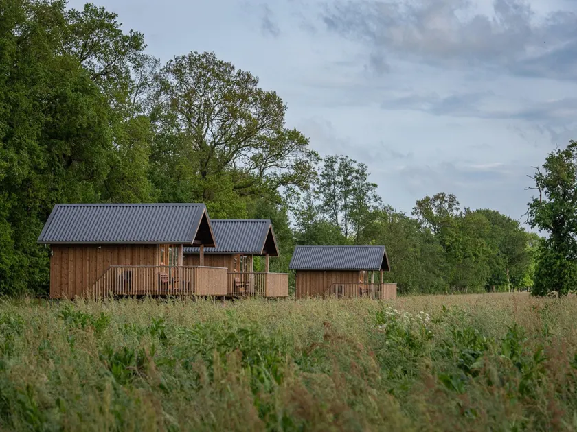 Lodge in Drenthe with Scenic Veranda - Image 1