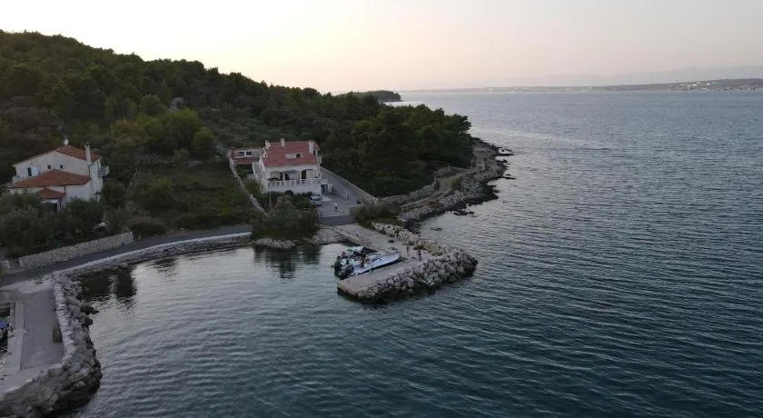 Goga - Image 1