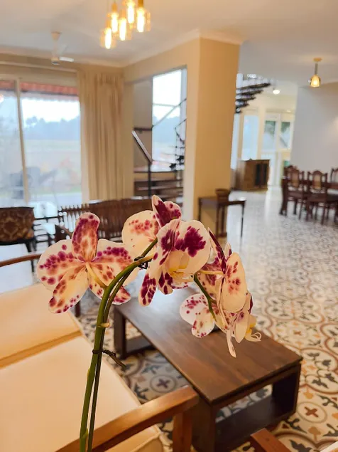 Villa Serenity - Pool - Breakfast - 2 Min to Beach - Image 1