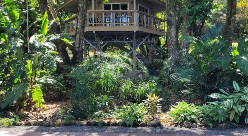 Treehouse La Hierba, Pavones - Image 1