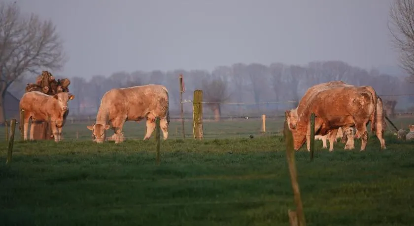 B&B Bij Bronckhorst - Image 1