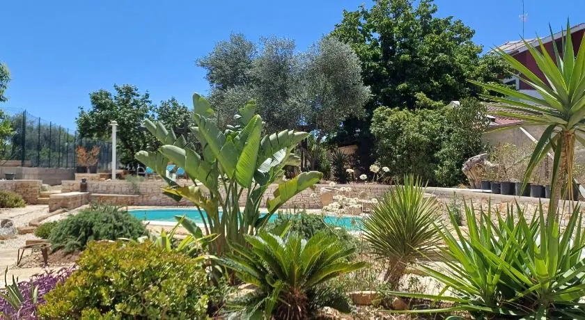 nonnacampagna - Image 1
