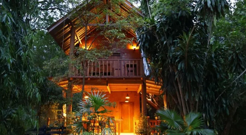 Private Organic House - Image 1