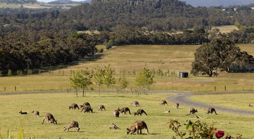 Hanging Rock Views - Image 1