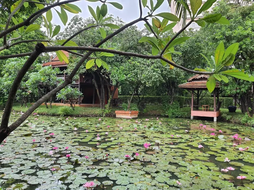 Dhabkwan Resort - Image 1