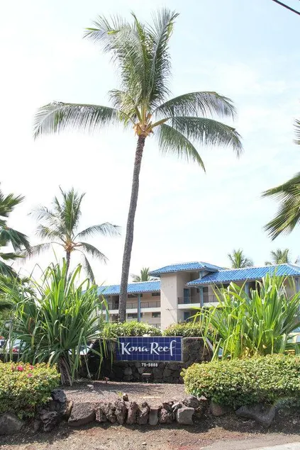 RAINTREE AT KONA REEF, HAWAII - Image 1