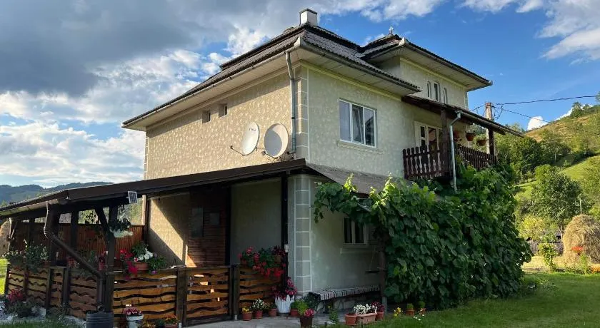 Casa Danut - Image 1