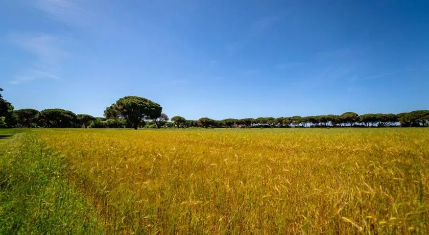 Agriturismo Bio Femminella - Image 1