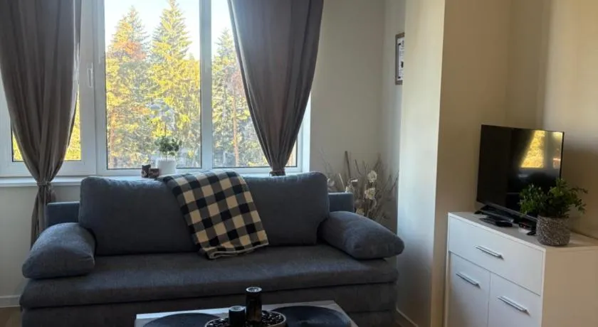 Chamkoria Borovets luxury apartment view - Image 1