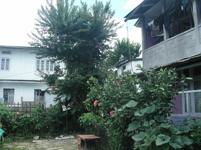 Troya Home Stay - Pas un hôtel! Venez séjourner dans une maison! - Image 1