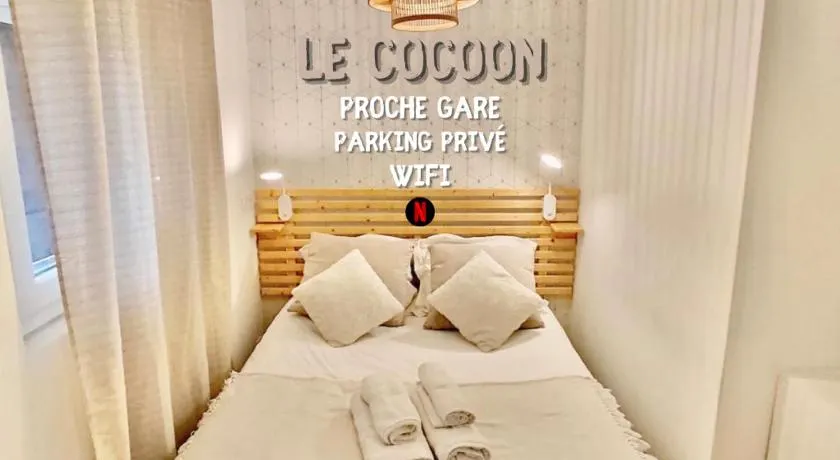 LE COCOON / PROCHE GARE / NETFLIX - Image 1