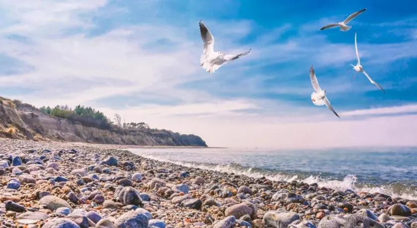 Bungalow SONNE UND MEER direkt am Strand - Image 1