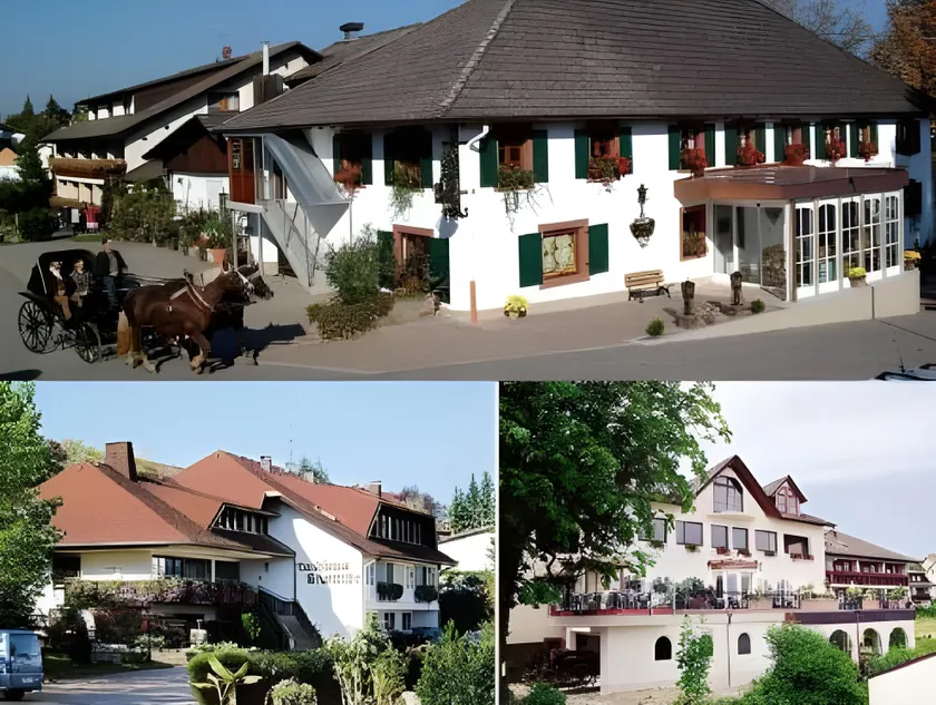 Hotel Restaurant Krone & Wellness - Schopfheim - Image 1