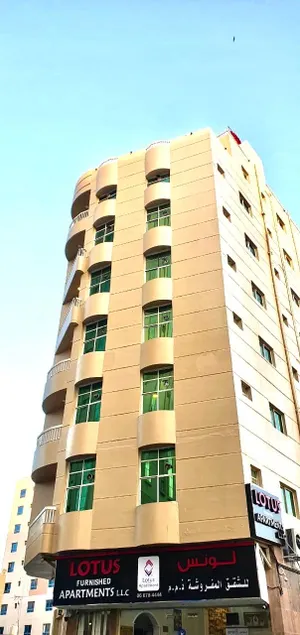 Lotus Furnished Hotel Apartments LLC. Ajman - Image 1