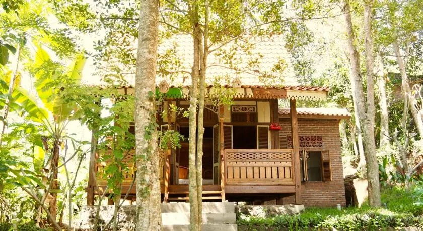 Green Vanilla Bungalow - Image 1