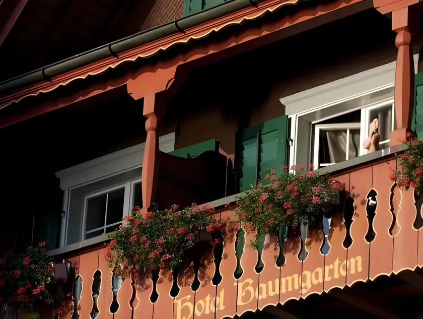 Seehotel Baumgarten - Image 1