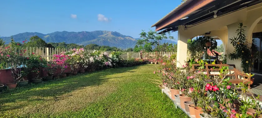 Mountain View Guest House KB - Image 1