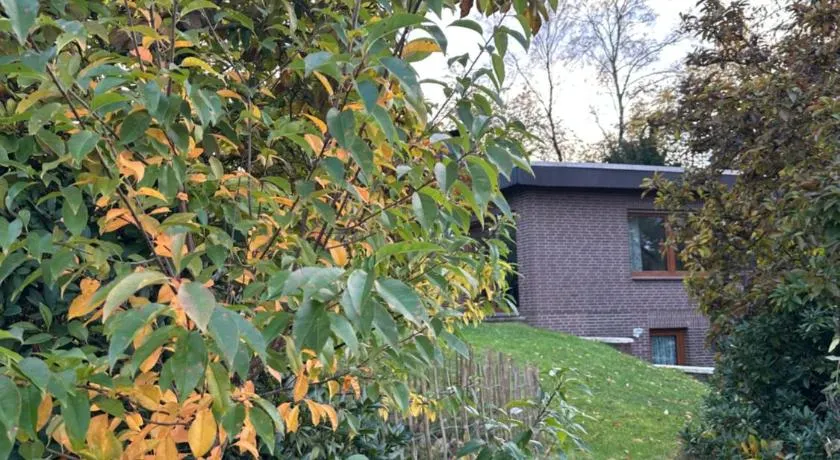 Ferien ind Monteur Wohnung Maiglöckchen mit 2 Schlafzimmern - Image 1