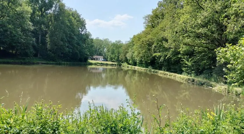 Deux étangs poissonneux au milieu des bois avec gîte moderne, la halte des deux lacs - Image 1