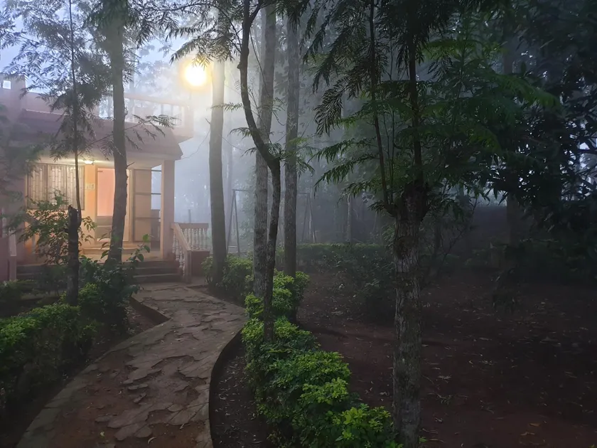 The Cabin in the Woods - Image 1
