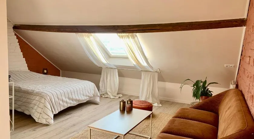 Chaleureuse et spacieuse chambre, sdb privative - Image 1