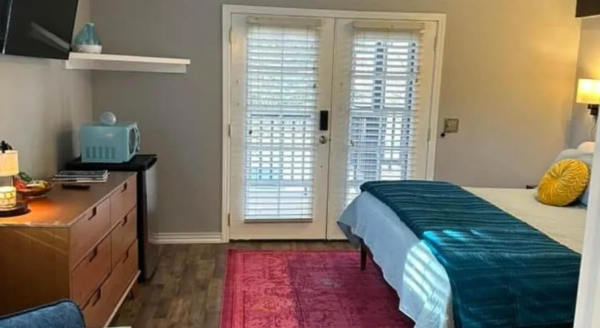 The Dandelion SV-Wish. B&B, Reimagined - Image 1