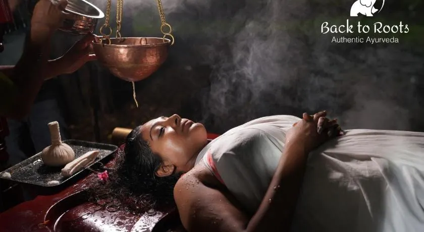 Back to Roots Ayurveda Retreat - Image 1
