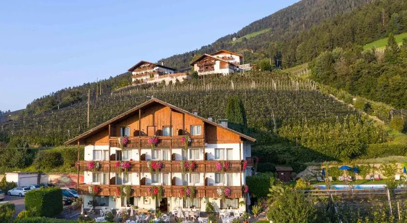 Panorama Hotel St Georgen - Image 1