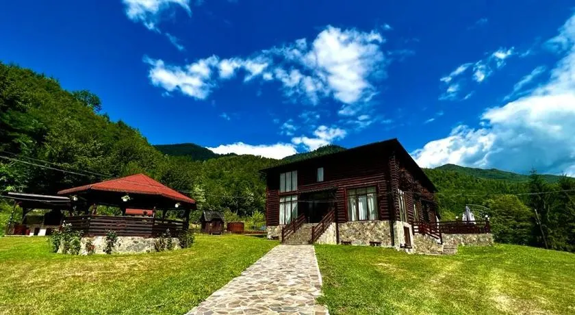 Pensiunea Roxana - Image 1
