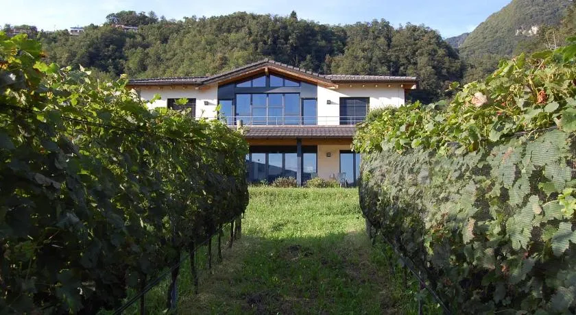 B&B Il Vigneto - Image 1