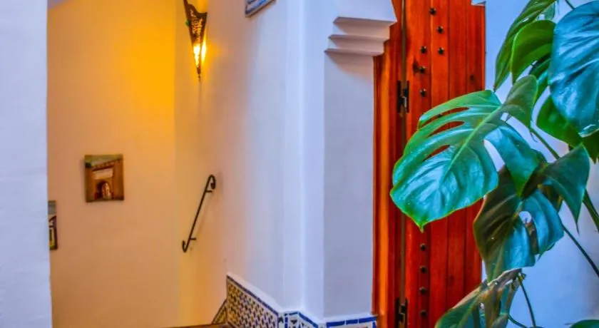 Riad Dari - Image 1