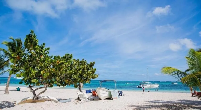 Coconut beach - Image 1