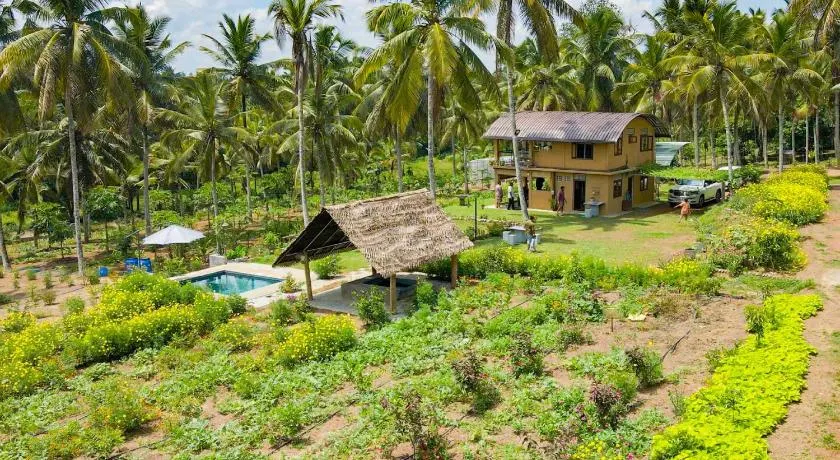 Amandawa Eco Farm Stay - Image 1