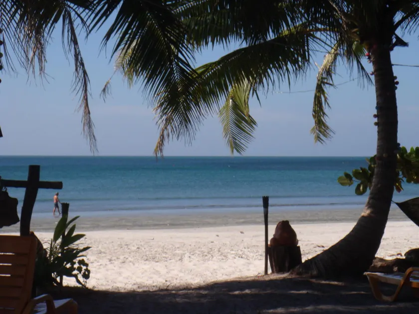 Frog Beach House - Image 1