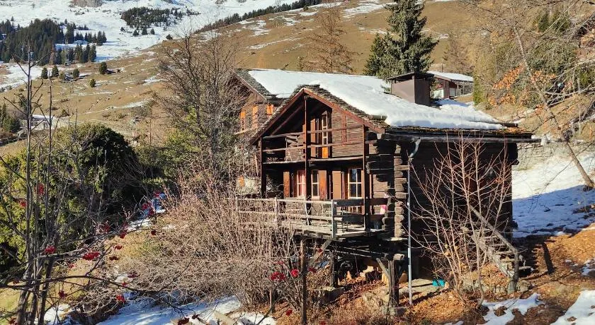 Arche de Noé B&B - Image 1
