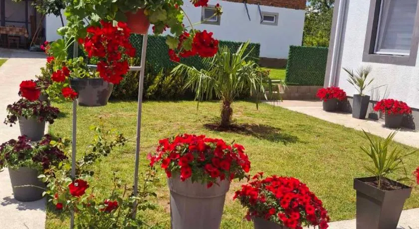 Apartman Villa Ruža - Image 1