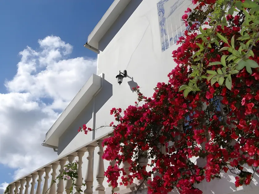 Jantesta Guest House - Image 1