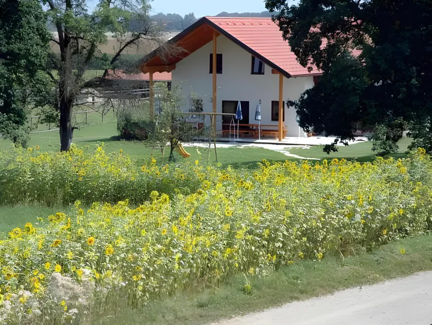 Sonnenblumenhof - Zimmer & Apartments - Image 1