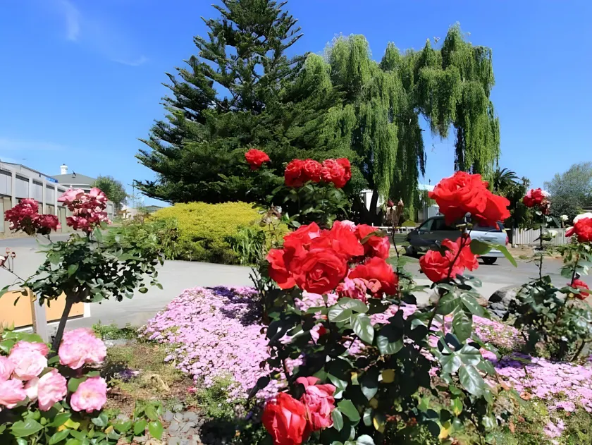Waiuku Motel - Image 1