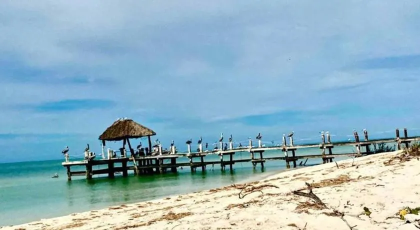 Beachfront apartment with swimming pool. One bedroom - Image 1