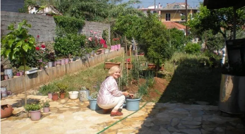 Petalidi Gedigio - Image 1