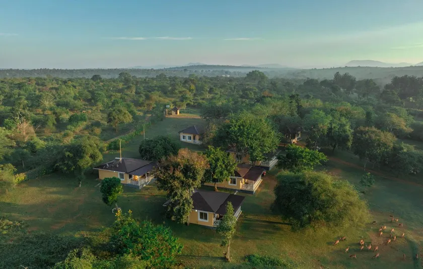 The Wild Forest Resorts - Image 1