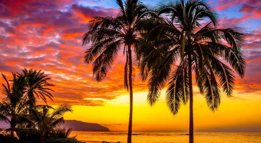 Charming Beach Apartment Your Hawaiian Getaway - Image 1