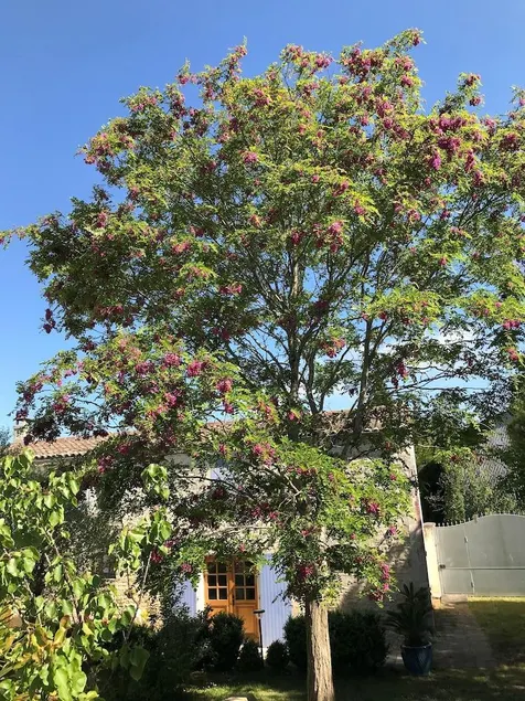 L Escale de Mortagne - Image 1